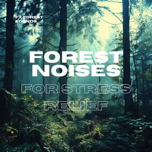 Forest Noises for Stress Relief - FX Forest Sounds