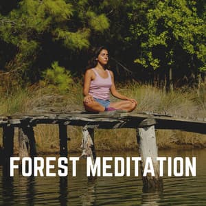 Forest Meditation - Nature & Sounds Backgrounds