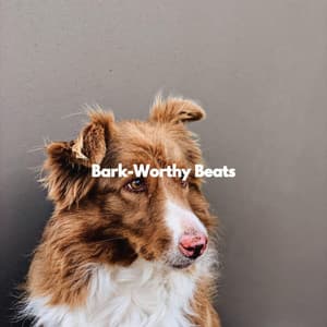 Bark-Worthy Beats - Alegre Musica para Leer