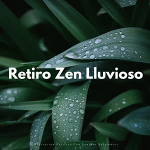 Retiro Zen Lluvioso: Meditación Pacifica Con Sonidos Relajantes - Sonidos de Lluvia para Meditación