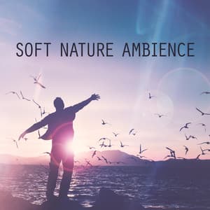 Soft Nature Ambience - Birds From Nowhere