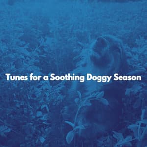 Tunes for a Soothing Doggy Season - #Lounge