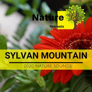 Sylvan Mountain - 2020 Nature Sounds - Meditation Atmospheres