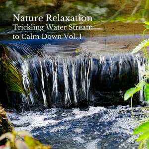 Nature Relaxation: Trickling Water Stream to Calm Down Vol. 1 - Relaxation