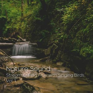 Nature Sound: Stream Chilling Flow with Singing Birds Vol. 1 - Relax My Dog Music