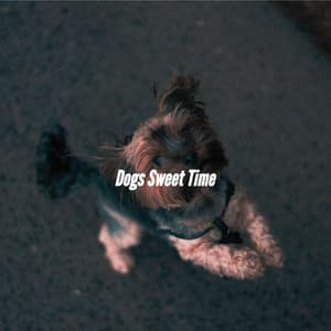 Dogs Sweet Time - Musica da Ristorante