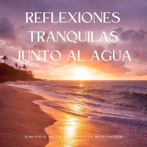 Reflexiones Tranquilas Junto Al Agua: Sinfonía De La Naturaleza Meditativa - Paz Interior