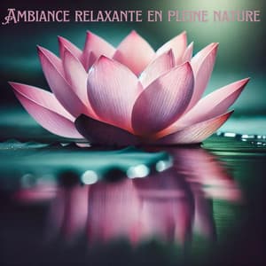 Ambiance relaxante en pleine nature - Ensemble de Musique Zen Relaxante