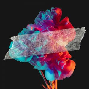 Music for Peaceful Melodies - Atmospheric Latin Music - Playlist for Nighttime Calm