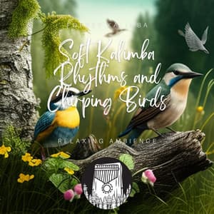 Soft Kalimba Rhythms and Chirping Birds - Relaxing Ambience - Forest Kalimba