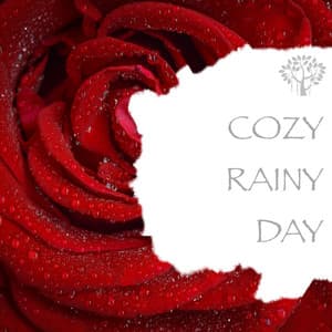 Cozy Rainy Day - Natural Spirit