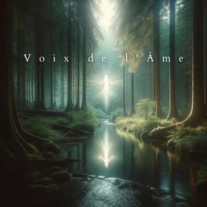 Voix de l'Âme: Harmonies Célestes - Ensemble de Musique Zen Relaxante