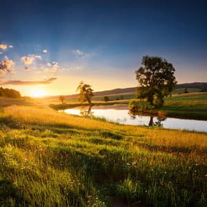 Unidad Melódica: Colección De Sonidos Armoniosos - Música para plantas