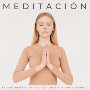 Meditación: Sonido Ambiental Para El Equilibrio Y La Curación Vol. 1 - Reiki Consorte de Curación