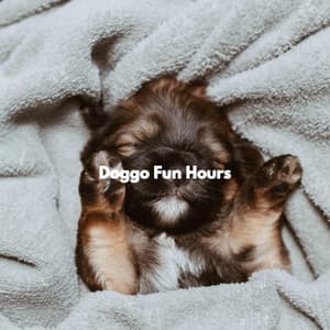 Doggo Fun Hours - Calming Jazz For Dogs