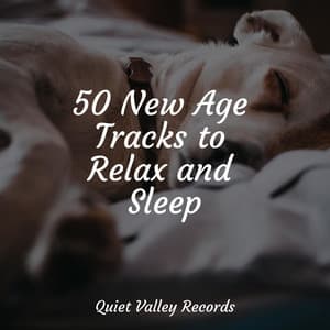 50 New Age Tracks to Relax and Sleep - Baby Relax Music Collection