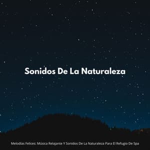 Melodías Felices: Música Relajante Y Sonidos De La Naturaleza Para El Refugio De Spa - Música de la Naturaleza