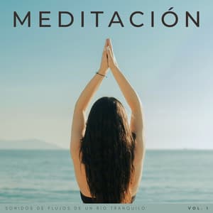 Meditación: Sonidos De Flujos De Un Río Tranquilo Vol. 1 - La naturaleza