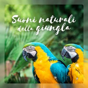 Suoni naturali della giungla - Club di relax mentale