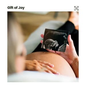 Gift of Joy - Womb Sound