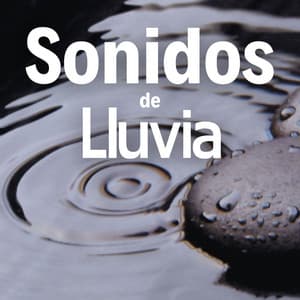 Sonidos de Lluvia: Ruido Blanco de la Naturaleza y Música Instrumental Suave - Despertar Natural