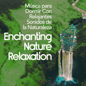 Enchanting Nature Relaxation - Música para Dormir Con Relajantes Sonidos de la Naturaleza