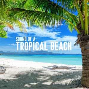 Sound of a Tropical Beach - Nature Sounds Lab