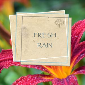 Fresh Rain - Relaxing Spirit