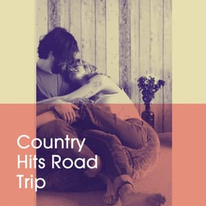 Country Hits Road Trip - The Country Dance Kings