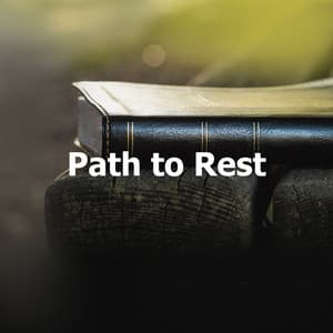 Path to Rest - Yin Yoga Music Collection