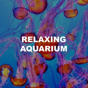 Relaxing Aquarium - Relaxing Aquarium