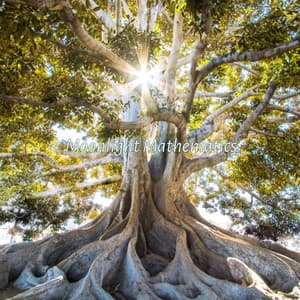 Moonlight Mathematics - Cosmic Thought