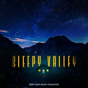 Sleepy Valley - Deep Sleep Music Collective