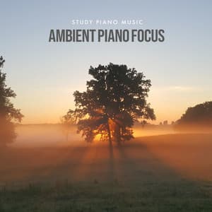 Ambient Piano Focus - Study Piano Music