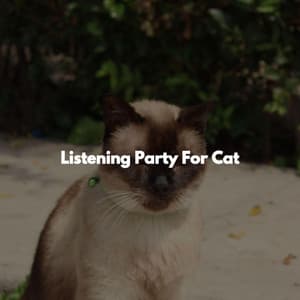 Listening Party For Cat - Easy Listening Playlisted Background Music