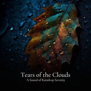 #01 Tears of the Clouds, A Sound of Raindrop Serenity - Rain Radiance