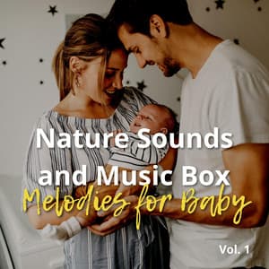Nature Sounds and Music Box Melodies for Baby Vol. 1 - Sleeping Babies Songs