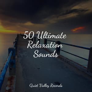 50 Ultimate Relaxation Sounds - Academia de Música con Sonidos de la Naturaleza