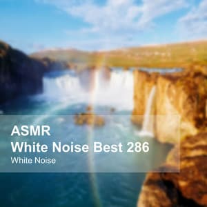 White Noise ASMR Best 286 - White Noise
