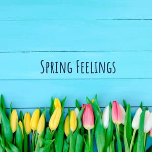 Spring Feelings - Beach Top Sounders