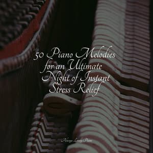 50 Piano Melodies for an Ultimate Night of Instant Stress Relief - Piano Bar