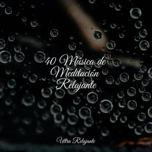 40 Música de Meditación Relajante - Sonidos de la Naturaleza
