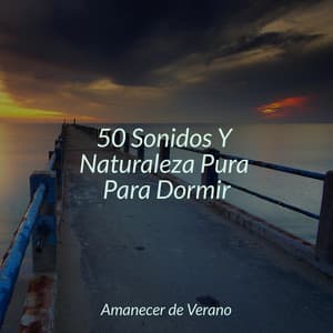 50 Sonidos Y Naturaleza Pura Para Dormir - Baby Lullaby