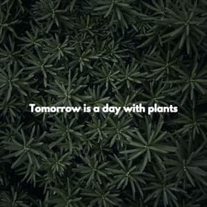 Tomorrow is a day with plants - Cooking Music Chill