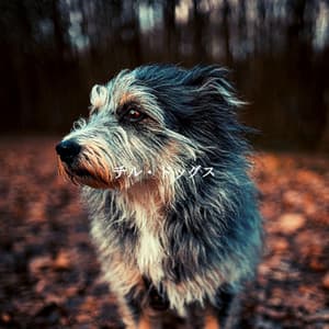 チル・ドッグス - Refreshing Tracks