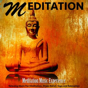 Meditation: Relaxing Music for Meditation, Stress Relief, Yoga and Relaxation - Meditation Music Experience