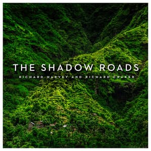 The Shadow Roads - Richard Harvey