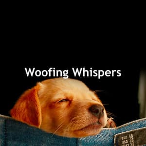 Woofing Whispers - Dog Music TA