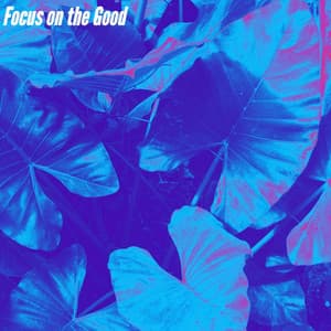 Focus on the Good - Classic Bosas Nova Radio