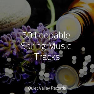 50 Loopable Spring Music Tracks - Asian Zen Spa Music Meditation
